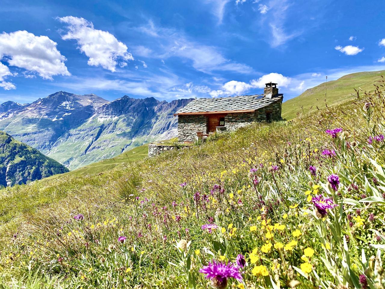 CHALET ALPAGE CELESTIN