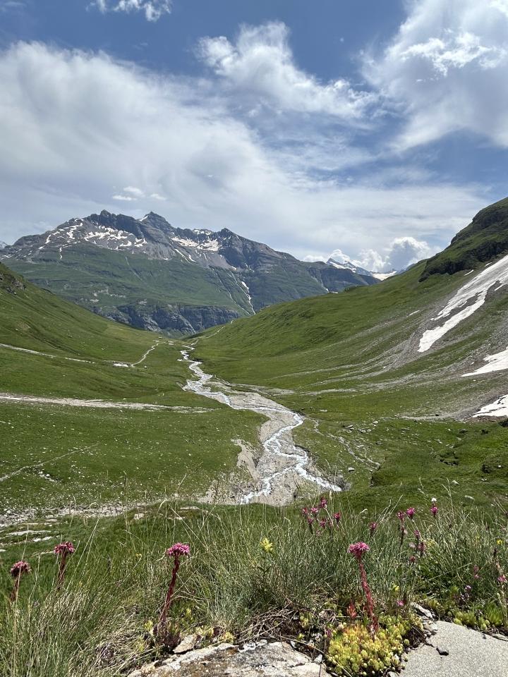 Visite à l'Alapage du Vallon par la Lenta - 12 août 2026